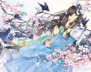 捅主任全集在线